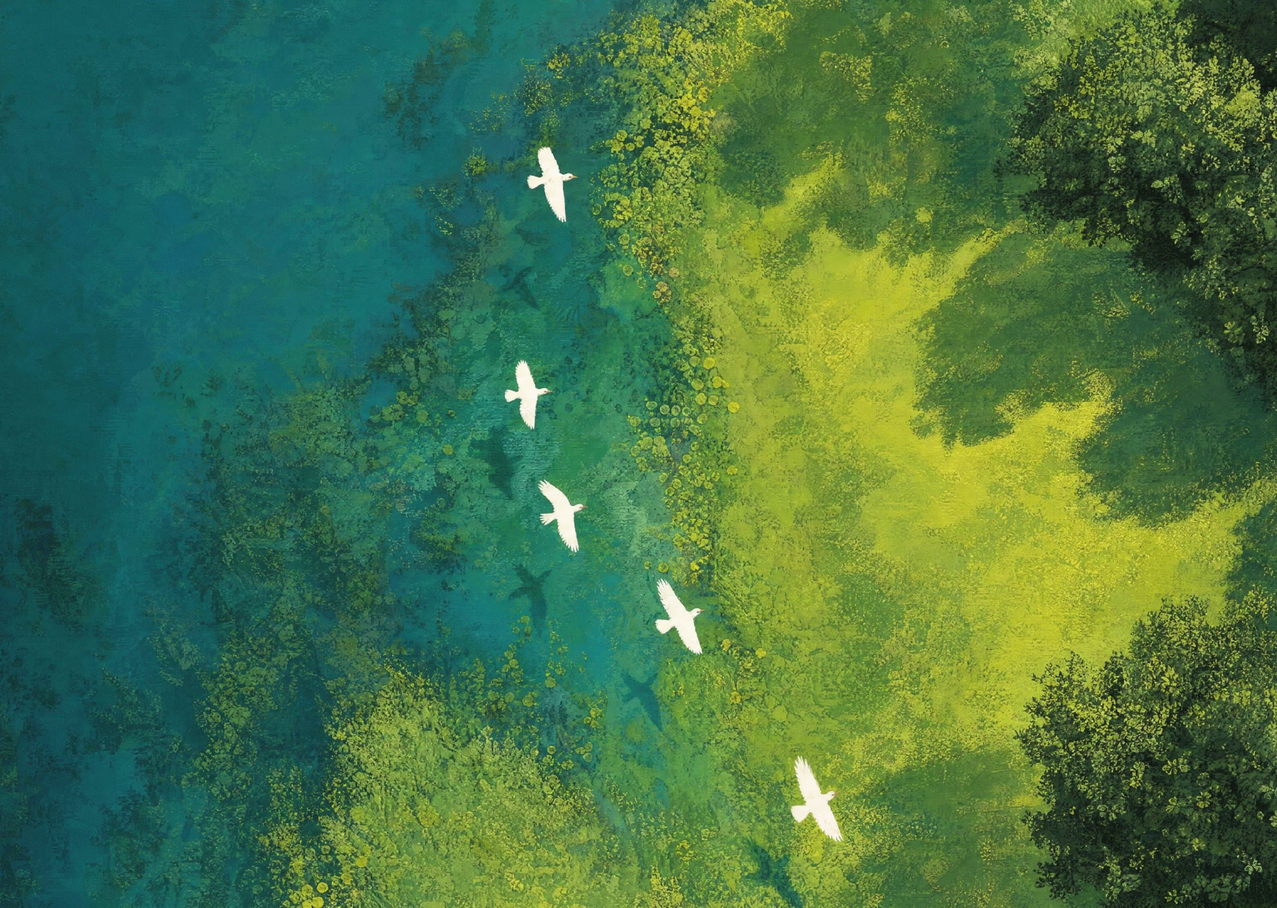 Soft green abstract waves suggesting sound in motion